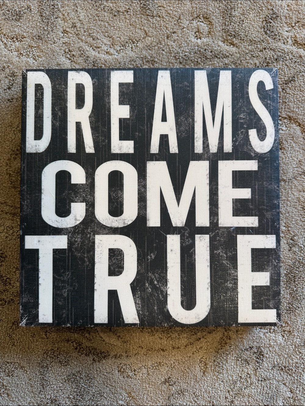 Black & White 'Dreams Come True' Wall Topography Canvas Art